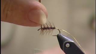 : Elk hair caddis