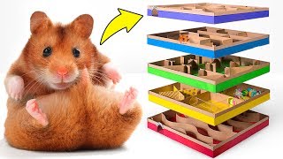 ハムスターが大喜び！DIYで楽しい5階建ての迷路を作ろう🐹