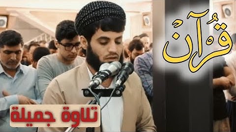 تلاوة جميلة😍 | سورة التين أواخر سورة المنافقون |للقارئ رعد محمد الكردي #Quran Raad Muhammad Al-Kurdi