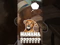 Chanel tiene una duda existencial 🐶❓ #NuevaZelanda #Humor #VideoViral
