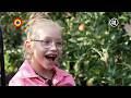 Amelia gaat een dagje mee helpen met het plukken van fruit | Dit ben ik | Kindertijd KRO-NCRV