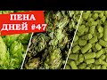 Пена дней #47 Будет ли в России свой хмель?