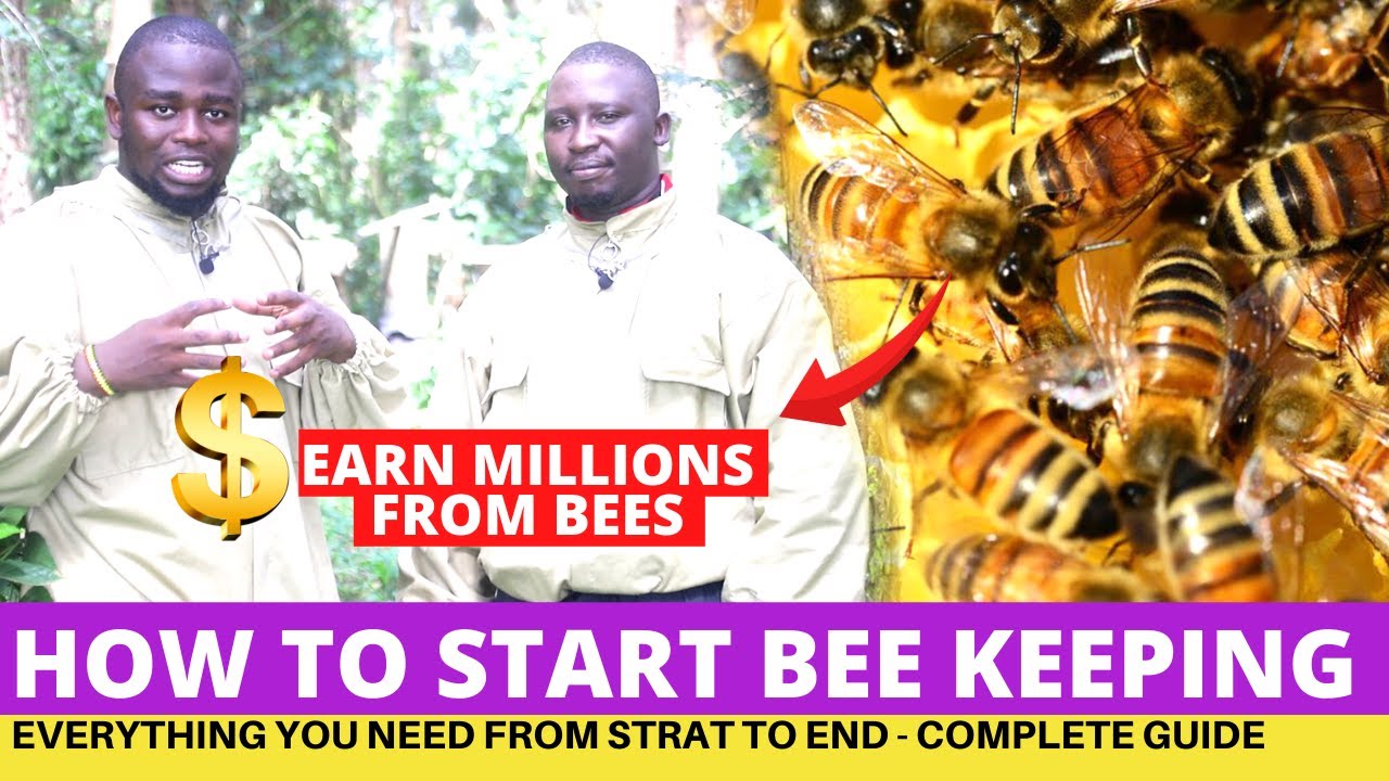 Пчеловодство: как начать и заработать миллионы — полное руководство и советы