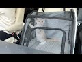 生まれて初めてドライブした子猫の反応がかわいすぎました笑