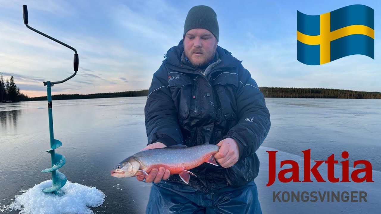 Isfiske røye i Sverige! - YouTube