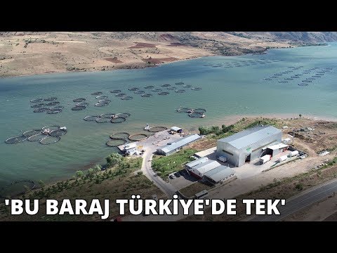 Video: Büyük Su şehri