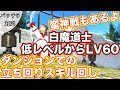 【FF14】白魔道士低レベルからLv60までの立ち回りスキル回しを考えてみる【白魔道士で楽しく、そして、強く戦っていこう パッチ5対応】