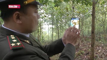 Ứng dụng công nghệ trong bảo vệ rừng và đa dạng sinh học | Môi trường và Tài nguyên