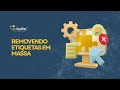 AdSuite - Removendo Etiquetas em massa