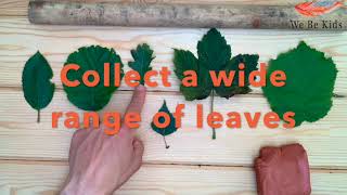 Nature Art and Craft: Clay Leaf Prints