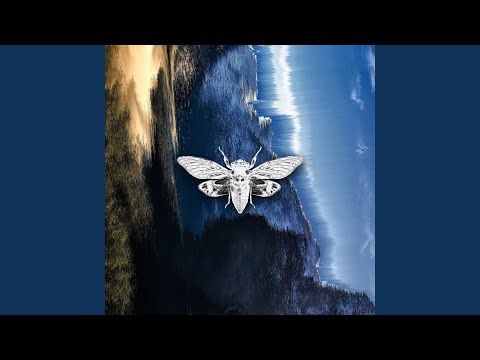 Watch Parallel Time on YouTube