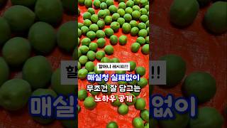 매실청 실패없이 담그는 노하우 #매실청 #매실 #요리꿀팁