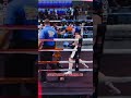 2025 National Golden Gloves Semi Finals | Elite Female 143 LB | Brianna Gulia | Highlights