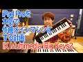 #8 IK Multimedia iRigKeys2 [ iPad Proを本気で作曲メインマシンにする計画 ] 【作曲 DTM DAW】