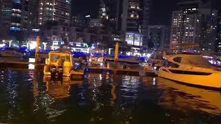 Dubai Marina Night View shorts| Dubai shorts | Dubai Marina