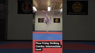 Flow Friday Striking Combo: Jab, Cross, Hook to Head Kick Finish