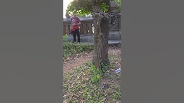 Turisnya sangat senang hpnya kembali dengan utuh, setelah 3 jam di bawa  monyet di tebing #shorts