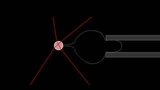 Sketch - Tube Pulling Experiment And In Vitro Dynamin Fission Reconsution