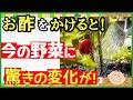 Just Add Vinegar Three Powerful Effects That Will Make Your Vegetables Grow Surprisingly Well B Just Add Vinegar Three Powerful Effects That Will Make Your Vegetables Grow Surprisingly Well B