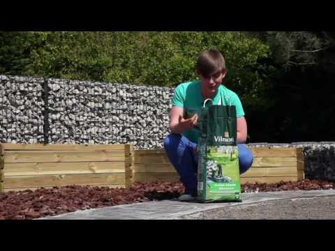 Video: Groene Gewassen In De Tuin. Deel 1