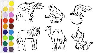 Animals Coloring with Frog Coloring, Camel Coloring, Ox Coloring Page - Coloring Pages of Animals