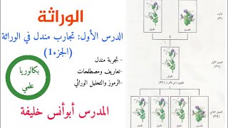 تجارب مندل في الوراثة||الدرس الأول (جزء 1)||بكالوريا علمي