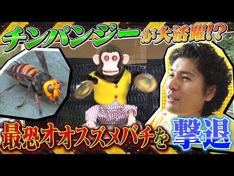 「迷惑生物から住民を守れ！凄腕！危険生物バスターズ9」住民が刺された！新たな相棒と協力してオオスズメバチを撃退せよ！
