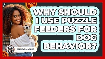 Why Should I Use Puzzle Feeders For Dog Behavior? - Obedient Dog Guide