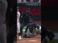 Austin Wells Home Run Vs. Rays #sports #mlb #baseball #yankees #austinwells