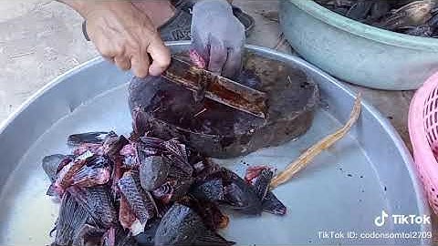 Cách lột da cá lao kiến xiêu nhanh