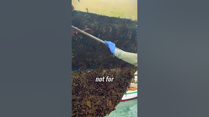 Why This Guy Cleans Underwater Every Day 🤿