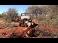 Outback Mustering Part One