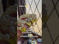 Yellow 🌼🌸 Glass Beaded Bracelet DIY | 0758803042 #jewelerymakingathome #jewelry