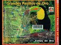 Grande Pasillos De Oro Alta Calidad de Audio WAV