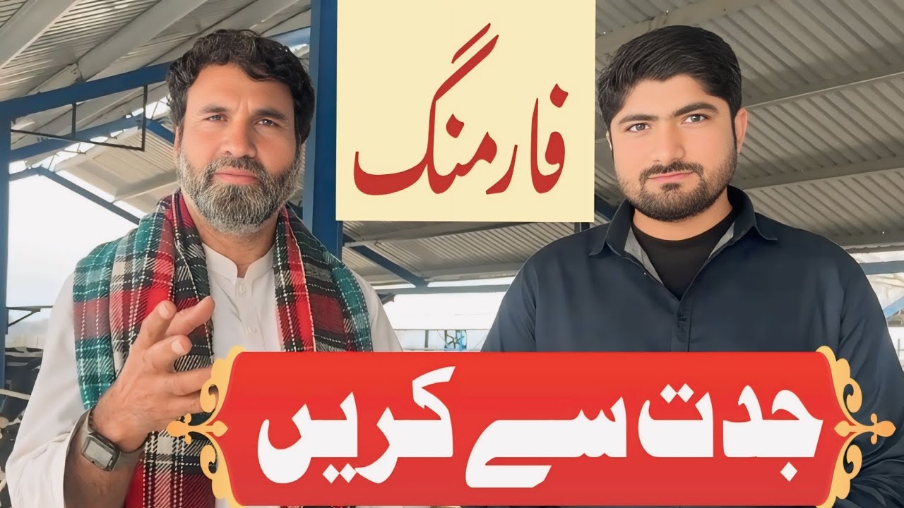 سستی سے سستی خوراک کو موثر بنانے کا بہترین فارمولا شاندار نتائج 