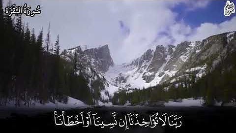 فارس عباد لا يكلف الله نفسا إلا وسعها //قرآن كريم بصوت القارئ فارس عباد