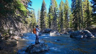 If I had to choose one stream in Idaho to fish, THIS IS IT!