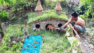 Building Technology: Surprise On Building Materials For A Beautiful House For The Poor Dogs
