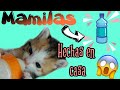 Como hacer Mamilas caseras para perritos 🐶 o gatitos 🐱 bebes👍👍
