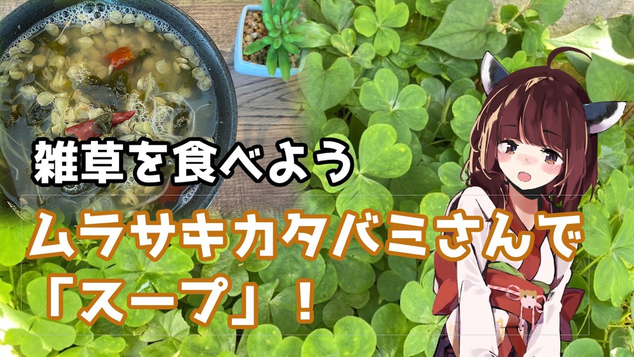 食べられるクローバー ムラサキカタバミさんで スープ Youtube