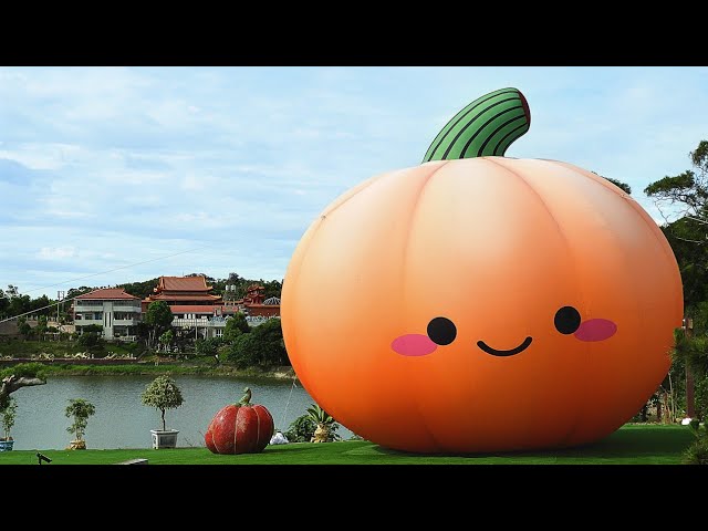 2026苗栗造橋南瓜節Zhaqiao Pumpkin Festival in Miaoli - YouTube