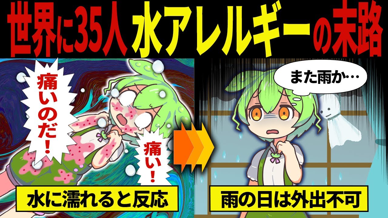 【実話】水アレルギーになってしまったずんだもんの末路【ずんだもん&ゆっくり解説】