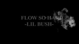 Flow so Hard ~Lil Bush