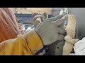 Bear bust carving demo part 2