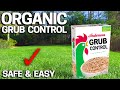 How to Get Rid of Grubs ORGANICALLY in the LAWN