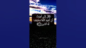 سورة الزمر الآية ١٠ الى ١٤ بصوت الشيخ محمد صديق المنشاوي