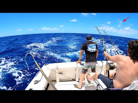 FOUR Species Deep Sea Fishing in Hawaii!! Big Fish in The Birds