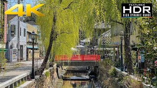 ⛵ [4K Hdr] Discover Shimoda | Visit Of Ryosenji Temple, Perry Road And Shimoda Port 🇯🇵