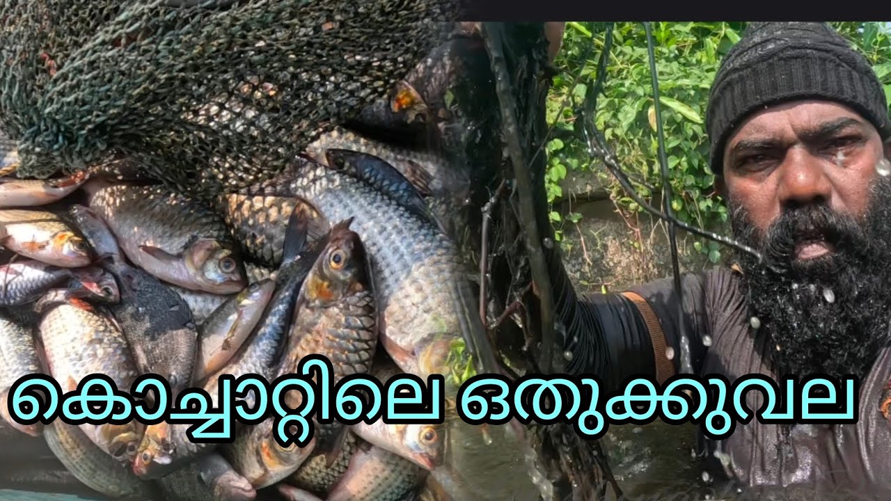 കൊച്ചാറ്റിലെ ഒതുക്കുവല | FISHINGVLOG | #reallife #realfishing 