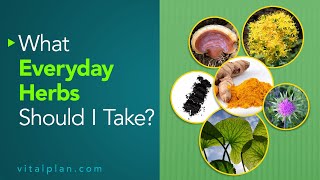 What Everyday Herbs Should I Take? | Vital Plan Webinar Short